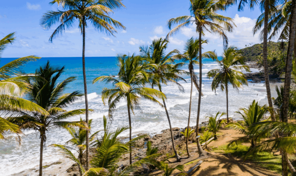 passagem de Maceió para Salvador