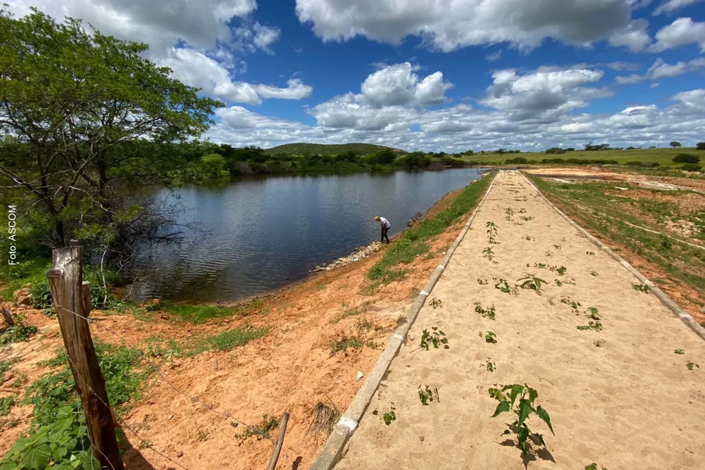 importância do transporte rodoviário